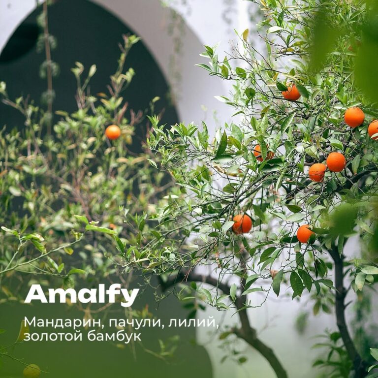 Amalfy