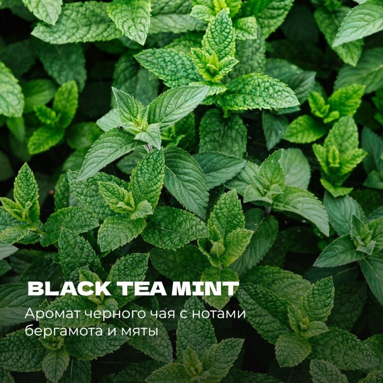 Black Tea Mint