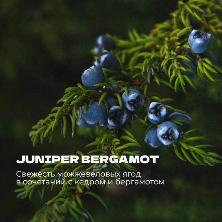 Juniper Bergamot
