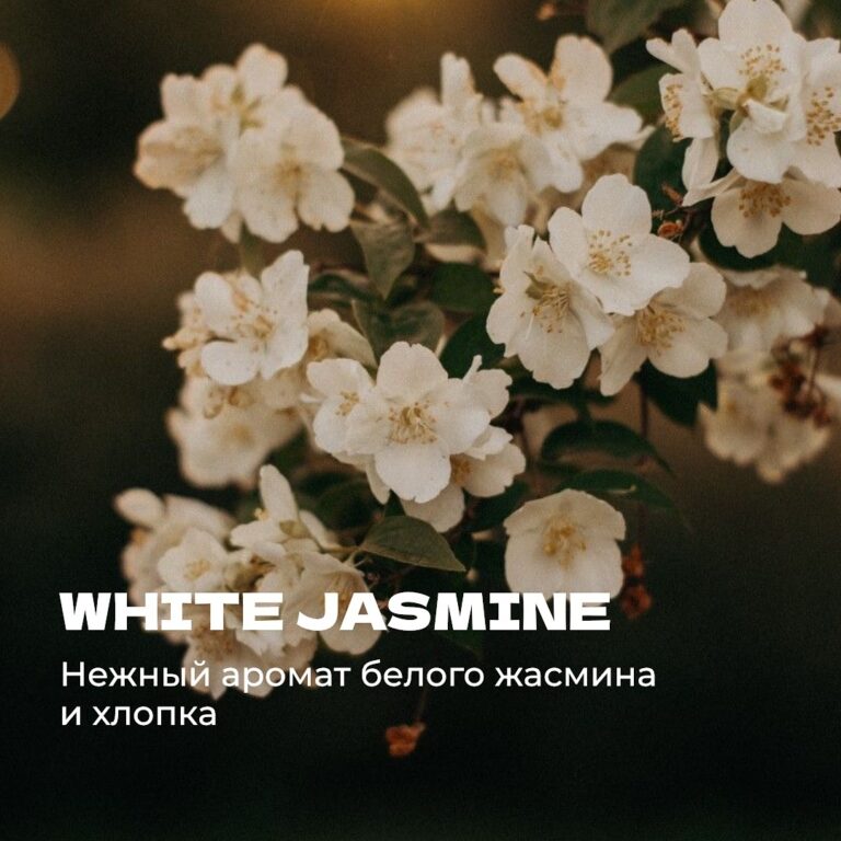 White Jasmine